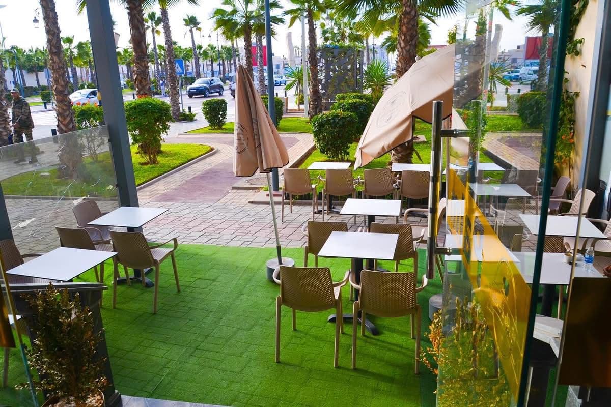 Terrasse du Café Palm d'Or Dakhla — palmiers et avenue de Dakhla